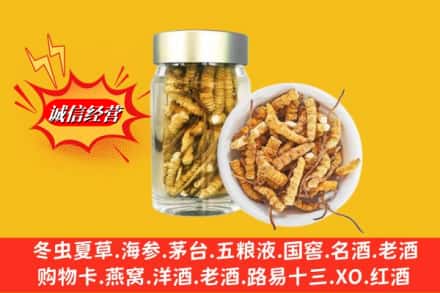 枣阳市回收散虫草