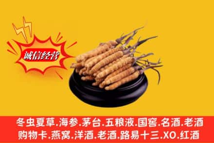 枣阳市求购回收虫草多少钱每克